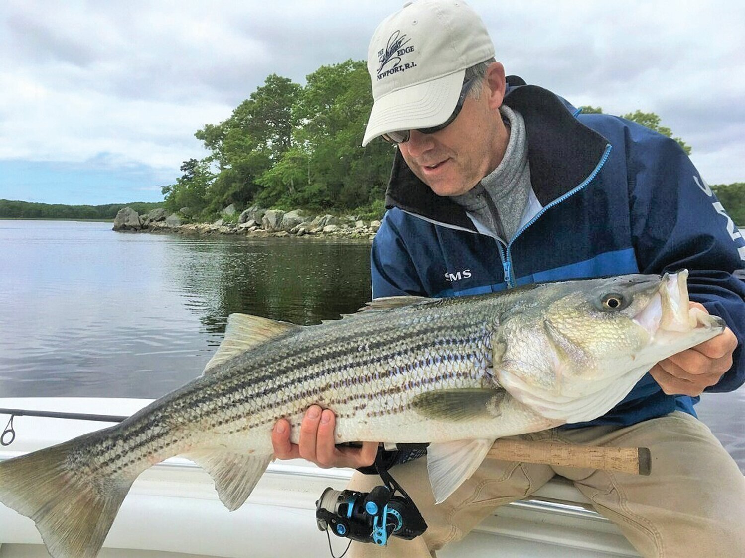 STRIPED BASS: Peter Jenkins, chairman of the board of the American Saltwater Guides Association and owner of the Saltwater Edge, Middletown says striped bass in trouble and asks anglers to take action. (Submitted photo)